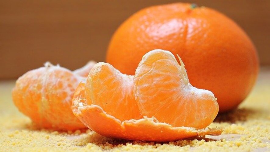 คุณประโยชน์ของส้มที่ไม่ไก่กา เมื่อคุณรู้แล้วต้องไม่มองผ่าน
